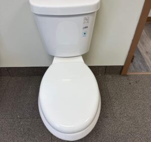 Renovate Toilet